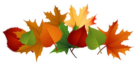 autumn leaves png.